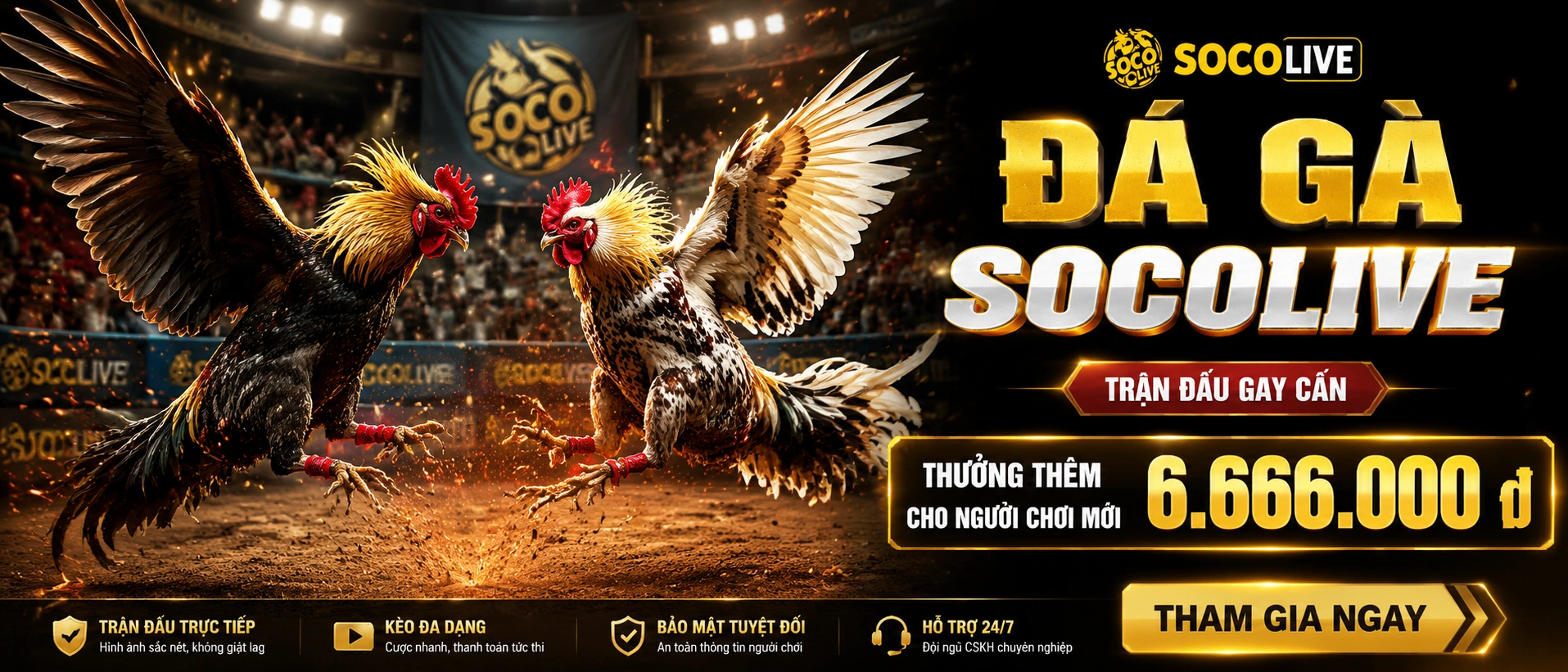 Đá Gà - giao diện trung tâm trên mobile